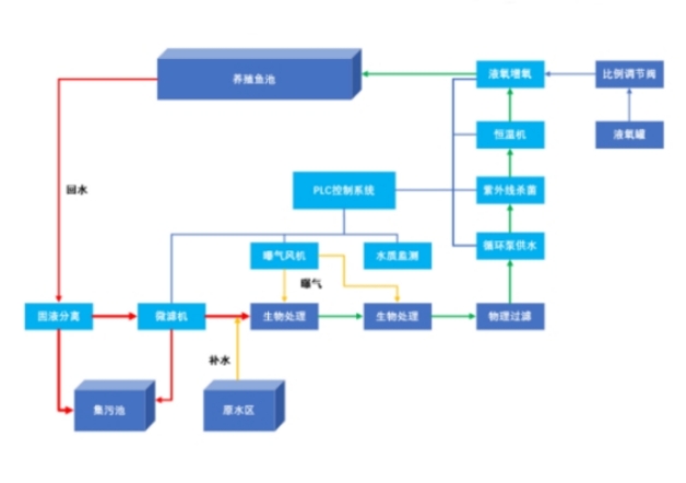 cctv5足球直播