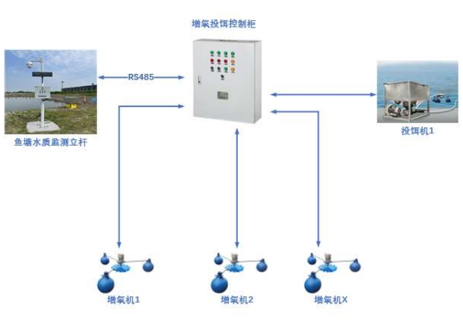 cctv5足球直播